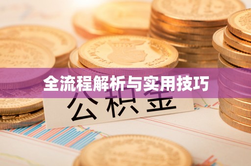 中卫全流程解析与实用技巧