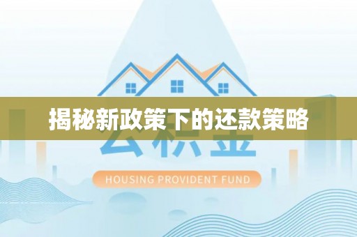 普格揭秘新政策下的还款策略