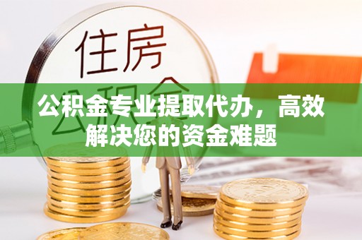 盘龙公积金专业提取代办，高效解决您的资金难题