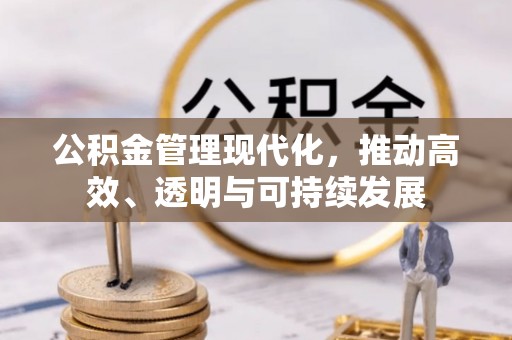 金阳公积金管理现代化，推动高效、透明与可持续发展