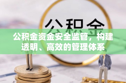 长泰公积金资金安全监管，构建透明、高效的管理体系