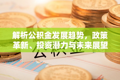 爱民解析公积金发展趋势，政策革新、投资潜力与未来展望