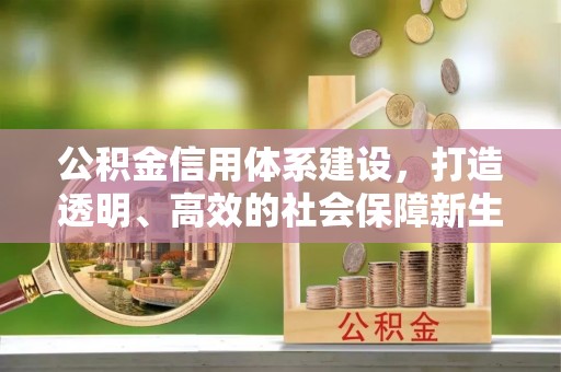 凤山公积金信用体系建设，打造透明、高效的社会保障新生态