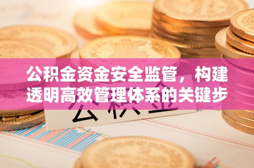 武进公积金资金安全监管，构建透明高效管理体系的关键步骤