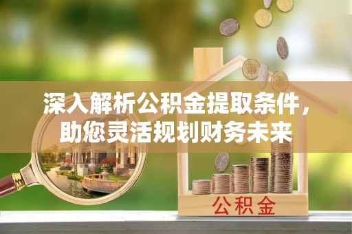狮子深入解析公积金提取条件，助您灵活规划财务未来