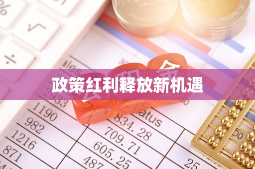 沙坪坝政策红利释放新机遇