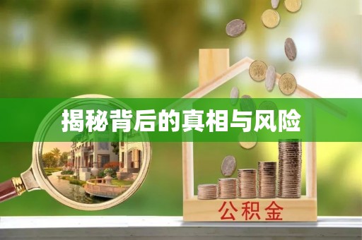 阳西揭秘背后的真相与风险