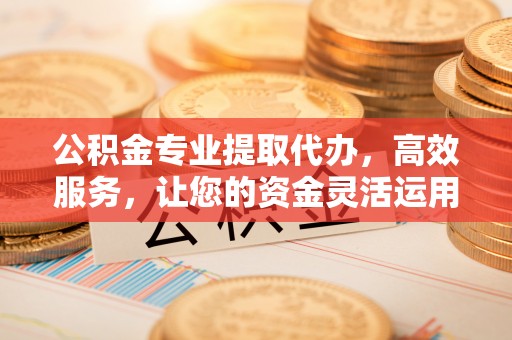 海港公积金专业提取代办，高效服务，让您的资金灵活运用