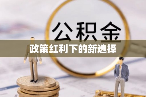 巴南政策红利下的新选择