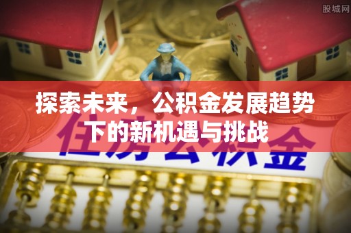 蒙自探索未来，公积金发展趋势下的新机遇与挑战