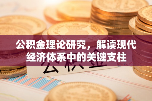 阿里山公积金理论研究，解读现代经济体系中的关键支柱