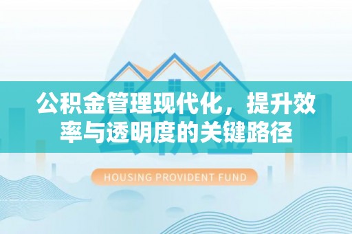 阳西公积金管理现代化，提升效率与透明度的关键路径
