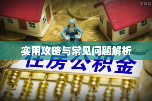 全方位实用攻略与常见问题解析
