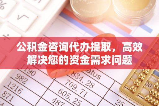 崖州公积金咨询代办提取，高效解决您的资金需求问题