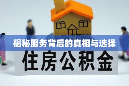 博望揭秘服务背后的真相与选择